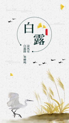 簡約傳統節氣白露海報在線制作軟件_好用的在線設計工具-易圖www.egpic.cn